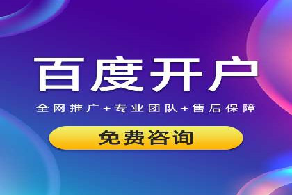 百度竞价推广成功案例解析